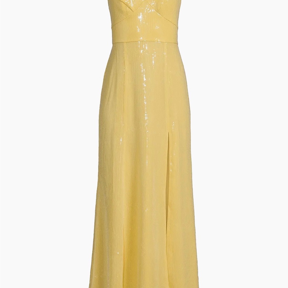 Hutch Mikayla Sequined Maxi Dress